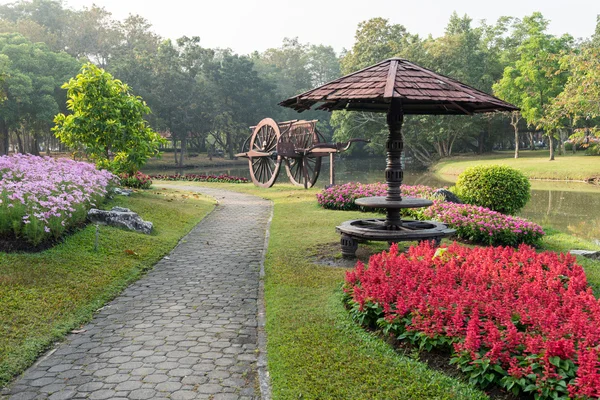 Flower garden background — Stock Photo, Image