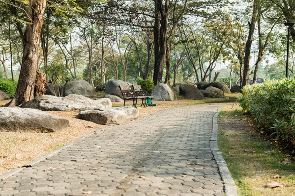 Pathway i parken — Stockfoto