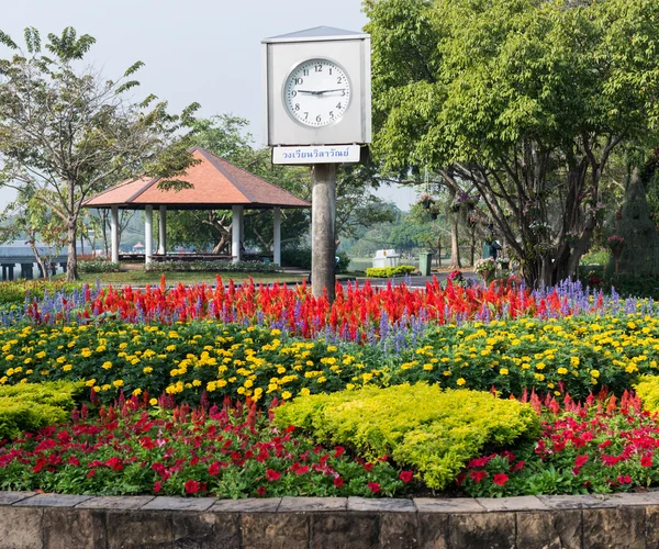 カラフルな花の庭園の背景 — ストック写真