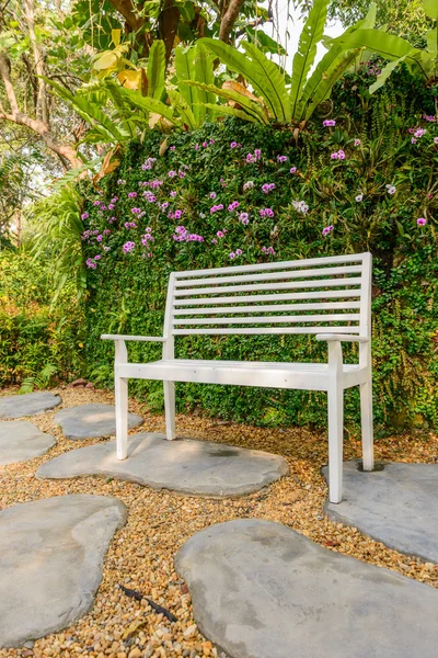 Hvit benk i hagen og grønnbladveggen – stockfoto