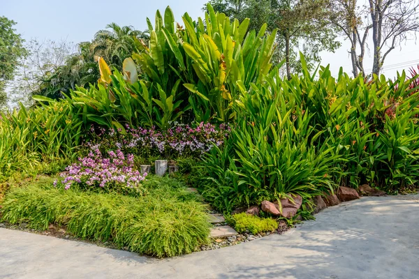 Camino de piedra hacia el jardín — Foto de Stock