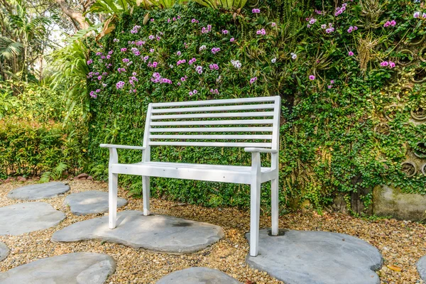 White bench in the garden and greenleaves wall — Stock Photo, Image