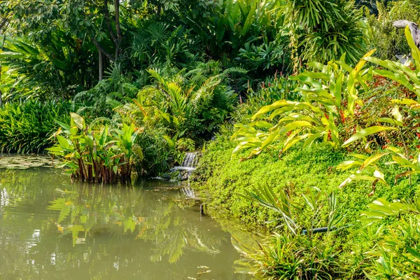 Waterfall in the garden — Stock Photo, Image