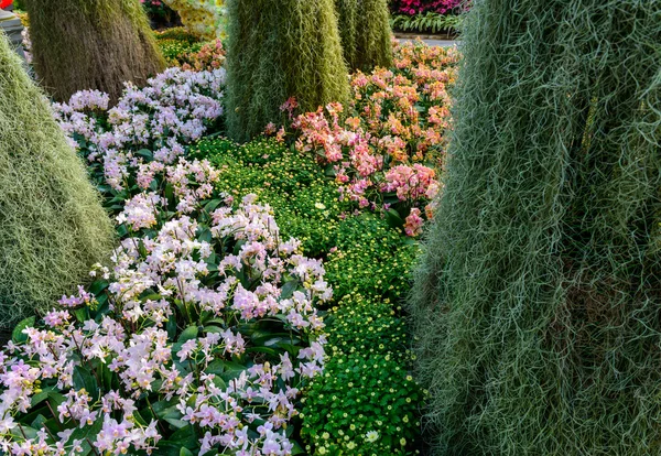 Il giardino dei fiori — Foto Stock