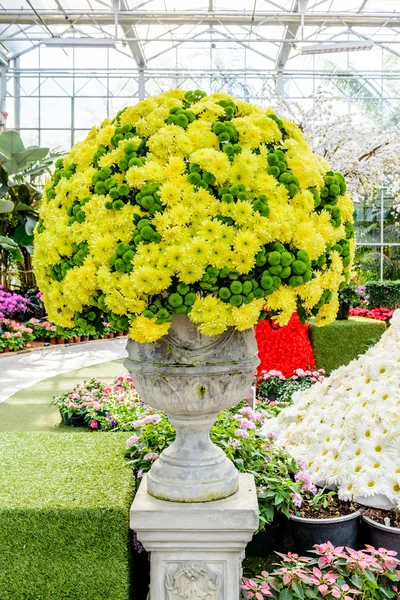 Flowers in vase — Stock Photo, Image