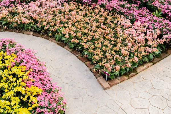 Esquina de jardín botánico con flores —  Fotos de Stock