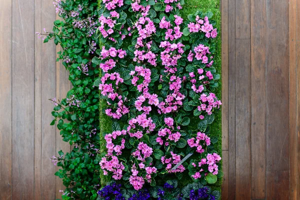 The pink flower — Stock Photo, Image