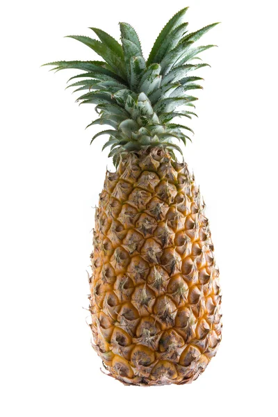 Verse ananas geïsoleerd — Stockfoto