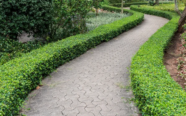 Stone pathway into garden — Stock Photo, Image