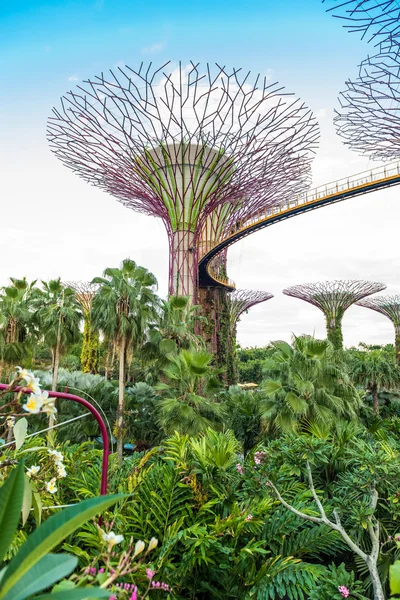 Jardines junto a la Bahía, Singapur — Foto de Stock