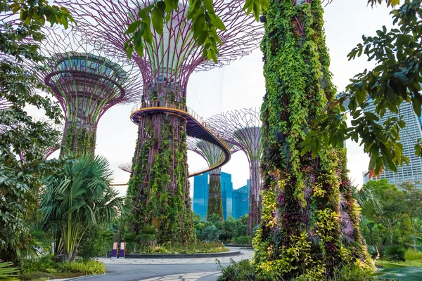 Jardines junto a la Bahía, Singapur — Foto de Stock