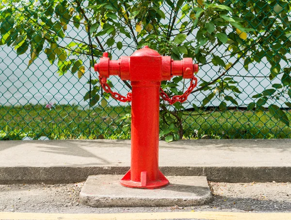 Red fire hydrant — Stock Photo, Image