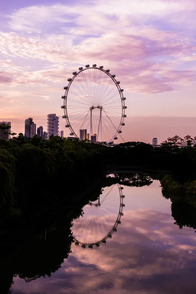 SINGAPORE-GIUGNO 19: Singapore Flyer - la ruota panoramica più grande i — Foto Stock