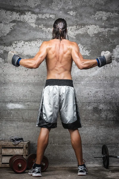 Мускулистый боксер, стоящий на стене — стоковое фото