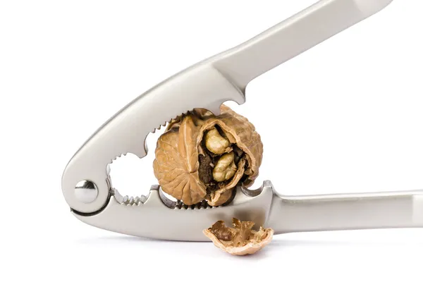 Wal nut and nutcracker on white background — Stock Photo, Image