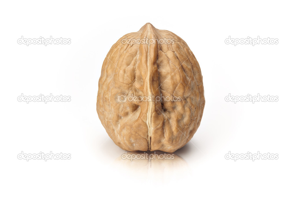 Isolated walnut on white background