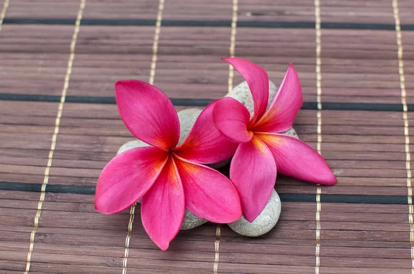 Bambu hasır üzerinde pembe frangipani çiçek