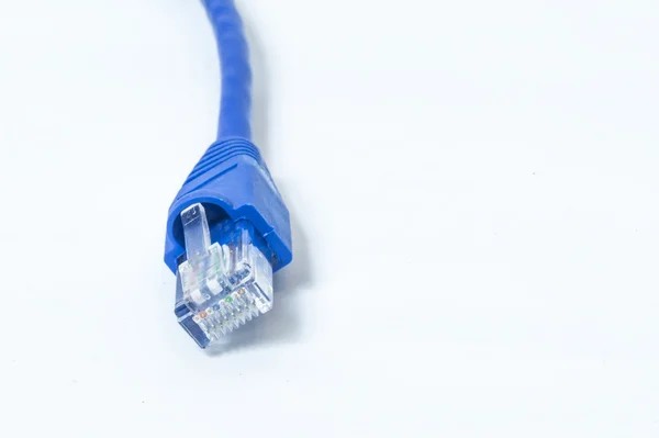 Ağ ethernet bağlantı kablosu ile rj-45 konektörü mavi