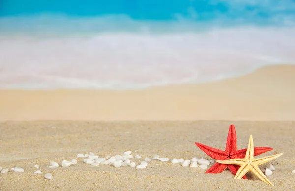 Pebbles and starfishes — Stock Photo, Image