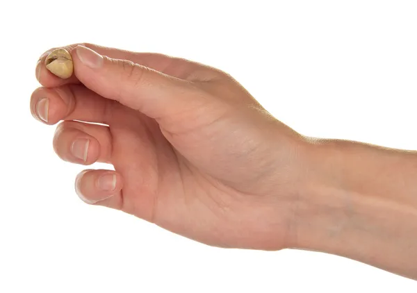 Tuzlu ve kavrulmuş fıstık fındık üzerinde beyaz izole bir el — Stok fotoğraf