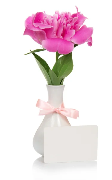 Peonía rosa en un jarrón decorado con una cinta, y una tarjeta vacía para la carta, aislada en blanco — Foto de Stock