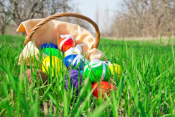 Paaseieren en mand met een servet op een gras met een zonne-groene natuurlijke achtergrond — Stockfoto