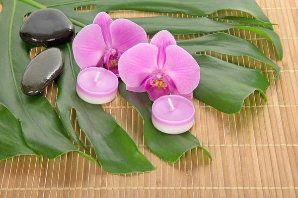 Hoja de una monstera, orquídea, vela y piedras sobre un paño de bambú —  Fotos de Stock