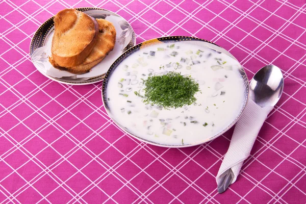 Sopa de verduras frías con hinojo, tela, tostadas —  Fotos de Stock