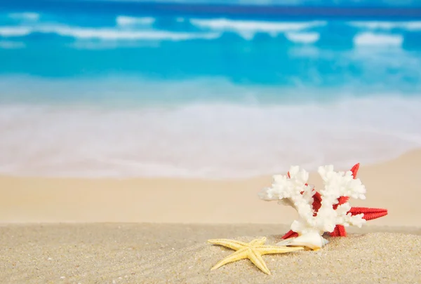 Starfishes and coral on sand against the sea — Stock Photo, Image