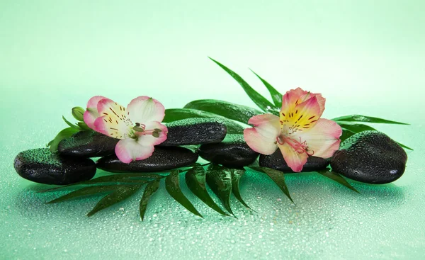 Flower of an alstroemeria and stones in water drops on a howea leaf, on a green background — Stock Photo, Image