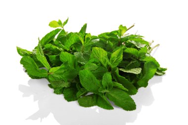 damla su ile yeşil taze nane yığını