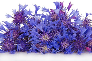 Peygamber Çiçeği buketi