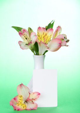 Vazo ve boş bir kart yeşil pembe alstroemeria