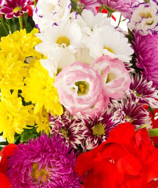 parlak çiçekler. arka plan