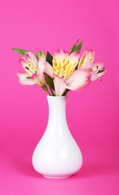 Vazoda pembe bir arka plan üzerinde alstroemeria buket