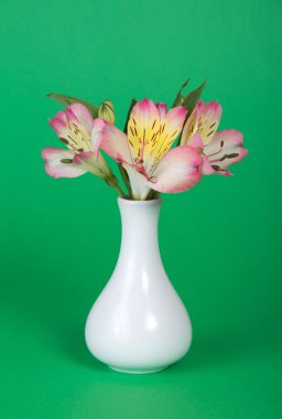 alstroemeria yeşil bir arka plan üzerinde vazoda buket