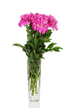 büyüleyici bir vazo içinde pembe peonies buket
