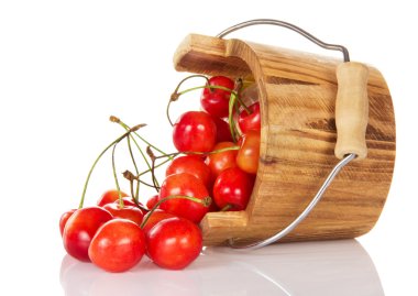 bir kova dışında bırakılan olgun pembe tatlı kiraz