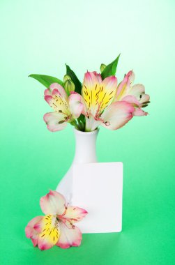 Vazo ve boş bir kart yeşil pembe alstroemeria