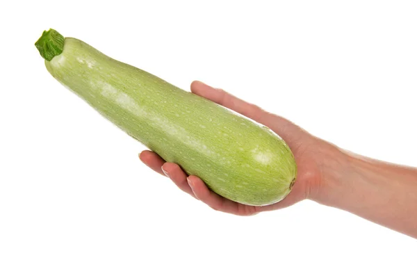 La zucchina fresca estiva nella mano femminile — Foto Stock