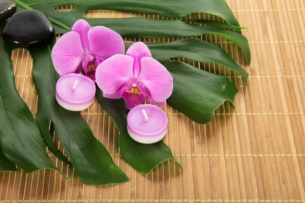 Leaf of a monstera, orchid, candle and stones on a bamboo cloth — Stock Photo, Image