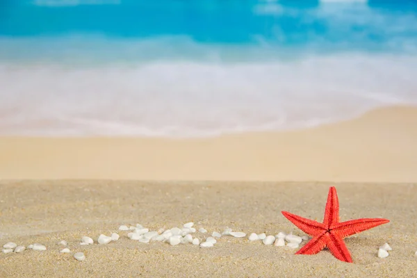 Pequeños guijarros y estrellas de mar en la costa de arena — Stok fotoğraf