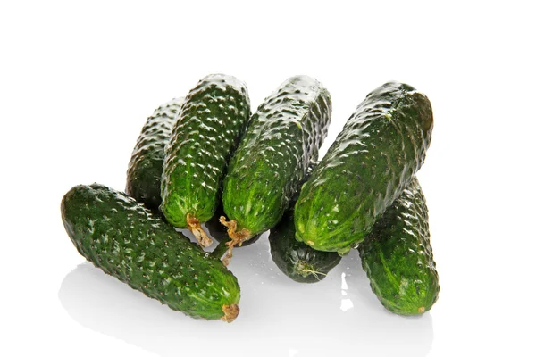 Fresh green cucumbers in drops the waters — Stock Photo, Image