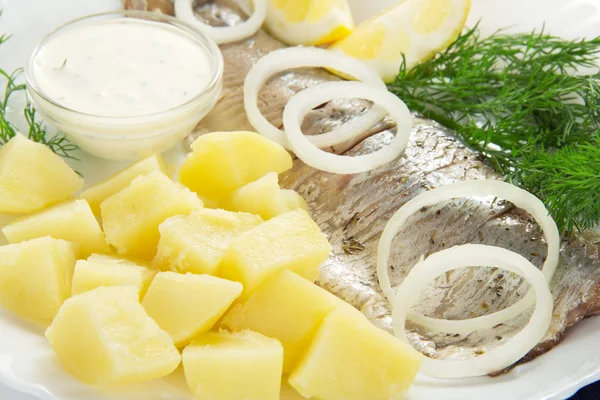 Hareng et pommes de terre avec sauce, oignons un citron et fenouil, sur un plat — Photo