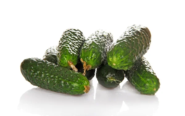 Fresh green cucumbers in drops the waters — Stock Photo, Image