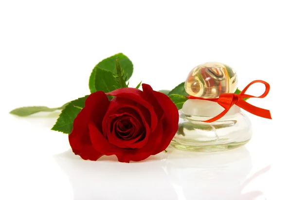 Bud of red rose and bottle of perfume with red ribbon isolated on white — Stock Photo, Image