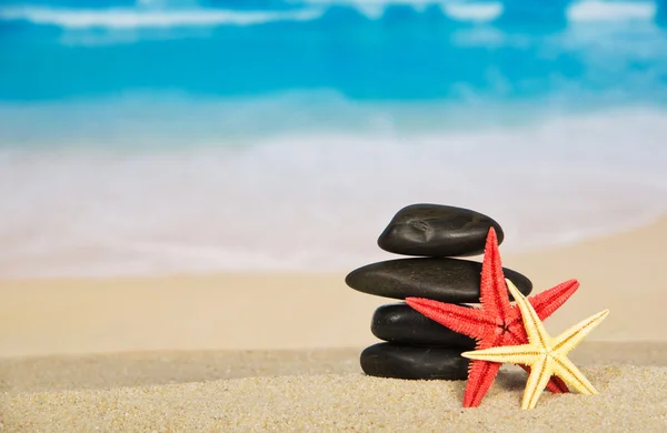 Starfishes y guijarros en la orilla del mar de arena — Foto de Stock