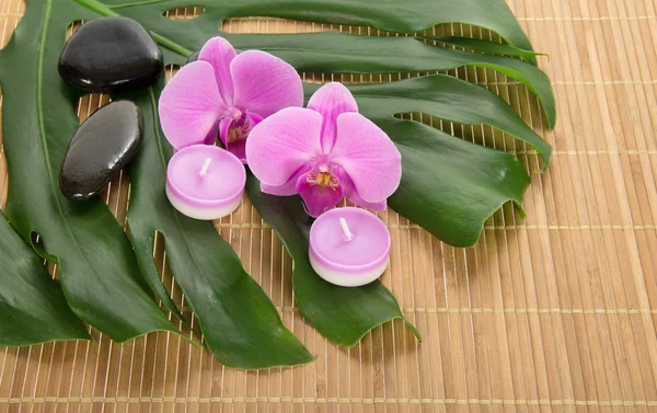 Folha de um monstera, orquídea, vela e pedras em um tecido de bambu — Fotografia de Stock