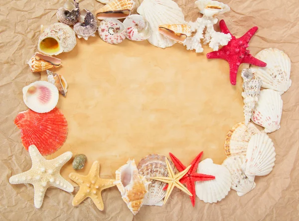 Старая бумага, морские звезды и ракушки — стоковое фото