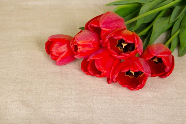 Bouquet of red tulips on a sackcloth — Stock Photo, Image